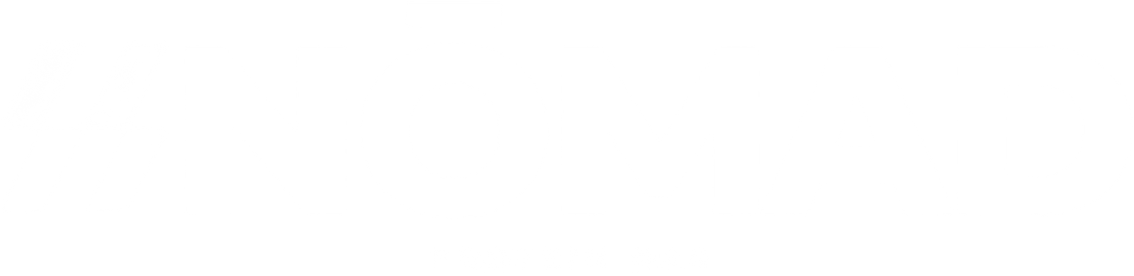 NOMAD Protein Bar
